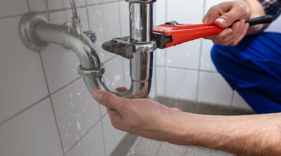 Professional Leak Detection services in Wentworth, MO
